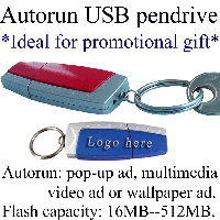 USB flash drive (autorun AD optional)