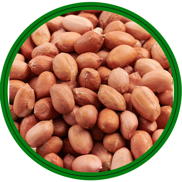 38/42 Bold Peanuts 
