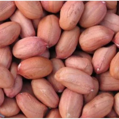 TOP QUALITY GOOBER, PEANUTS BOLD KERNELS