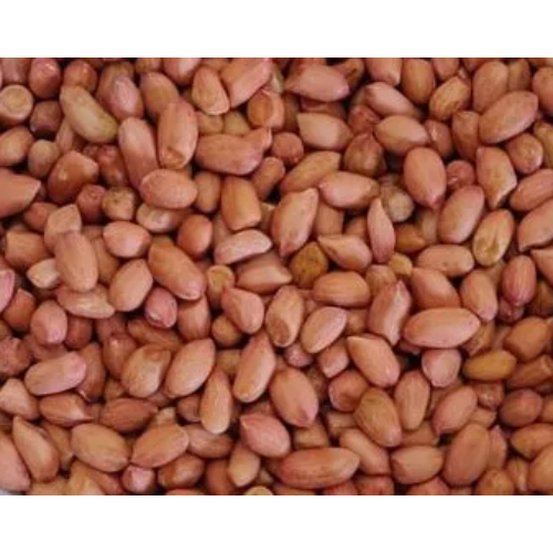 G20 Bold Groundnut seeds for Oil, Packaging Size: 50 kg