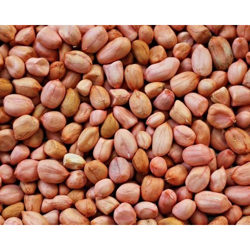 Peanut Exporters from India - Raw Peanut Manufacturers
