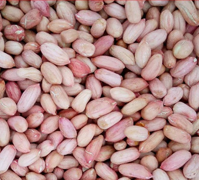 Organic Peanuts, Packaging Size: 5-50 Kg