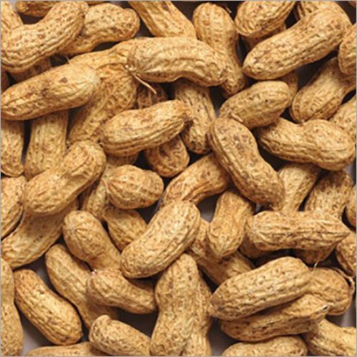Organic Bold Groundnut Seeds, Style : Dried, Grade