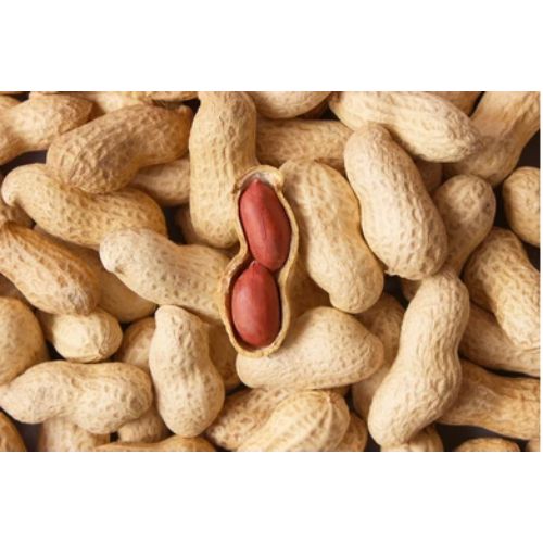 Indian Origin Bold & Java Peanuts Of All Counts