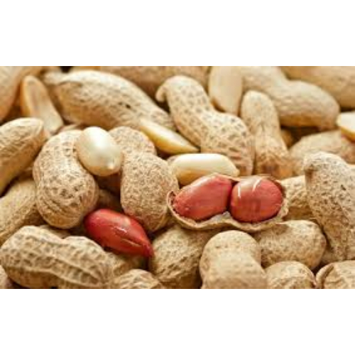 Raw Vietnam Peanut (Groungnut / Kacang Tanah Vietnam) 