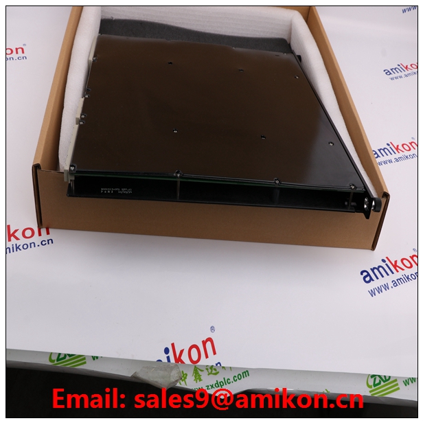 ABB DSDX 110 YB161102-AH/3	| Email:sales9@amikon.cn