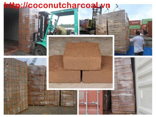 Vietnam cocopeat