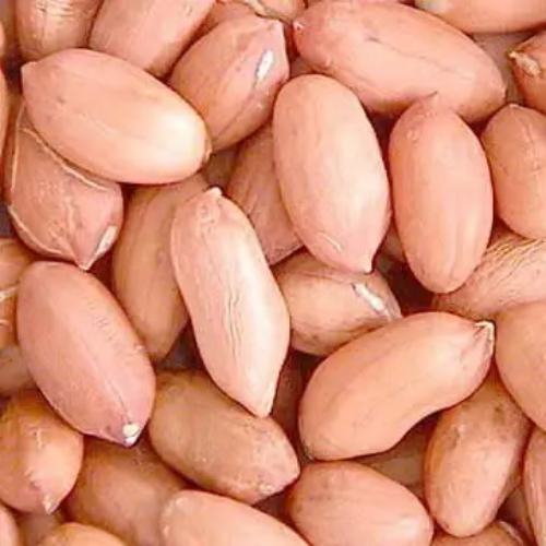 Indian Java Peanuts In Gujarat, Grade:45-55