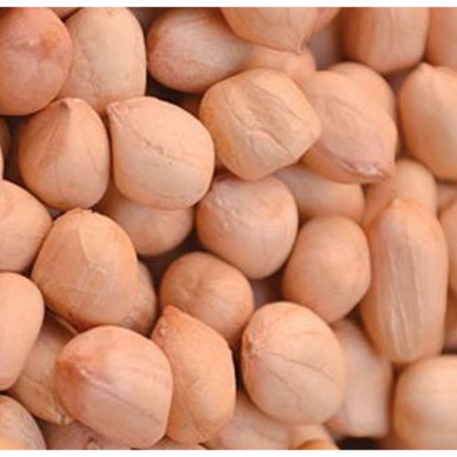 Java Peanuts