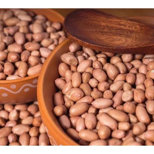 K6 Groundnut Agriculture Seed