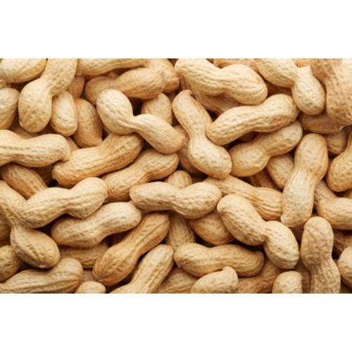 Peanuts Suppliers, Moongphalli Exporters and Dealers