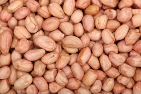 Pro Nature 100% Organic Raw Peanuts
