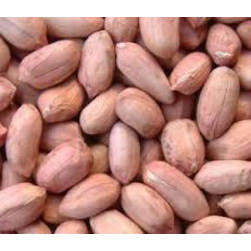 Bold Peanuts Oil Type