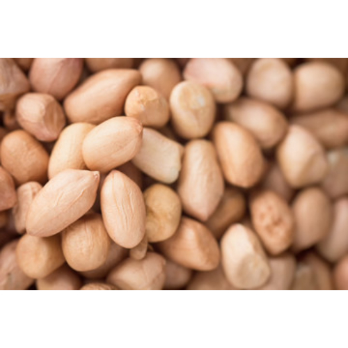Peanut Exporters in/From India