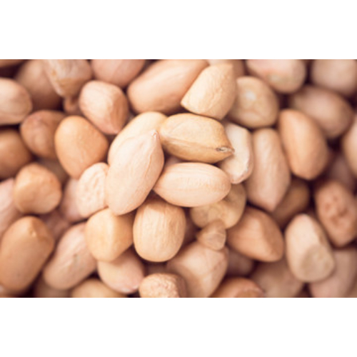 Legumes Seed Supplier