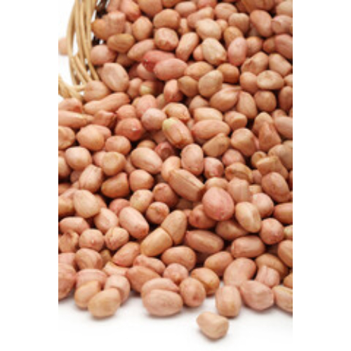 Legumes Seed Supplier