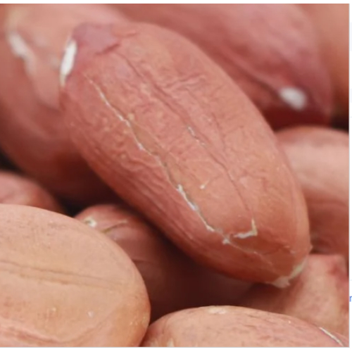 Raw Moongphali Kernel