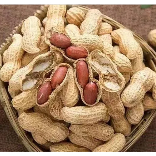 Raw Dried Peanut, Grade: A Grade, Packaging Size: 50 Kg