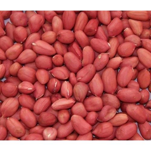 Red High Oil Content Groundnut Seed Exporters