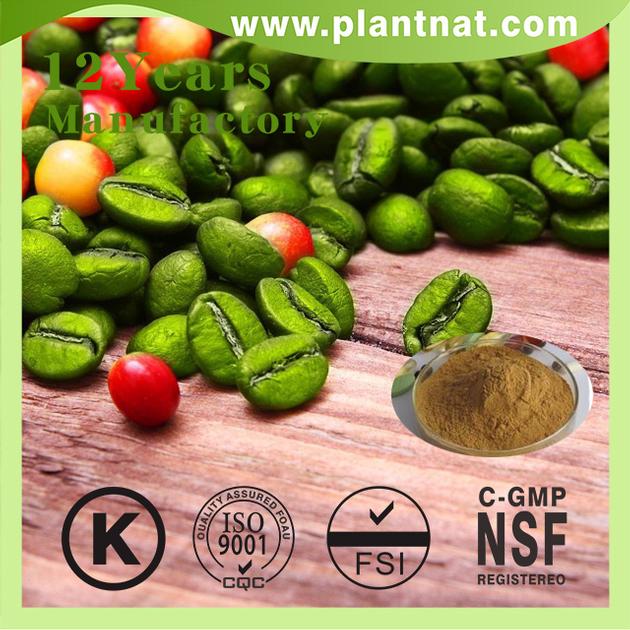 Green Coffee Bean Extract Chlorogenic Acid 50%