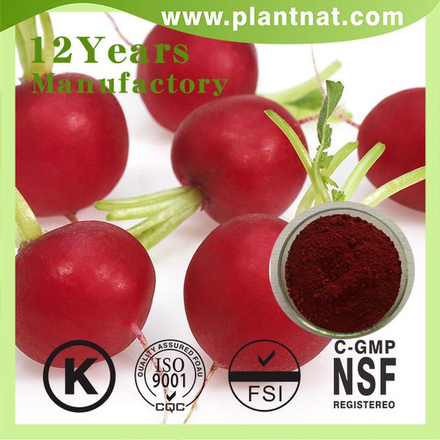 Red Beet Powder, Halal Red beet root extract, Beetroot Extract P.E.