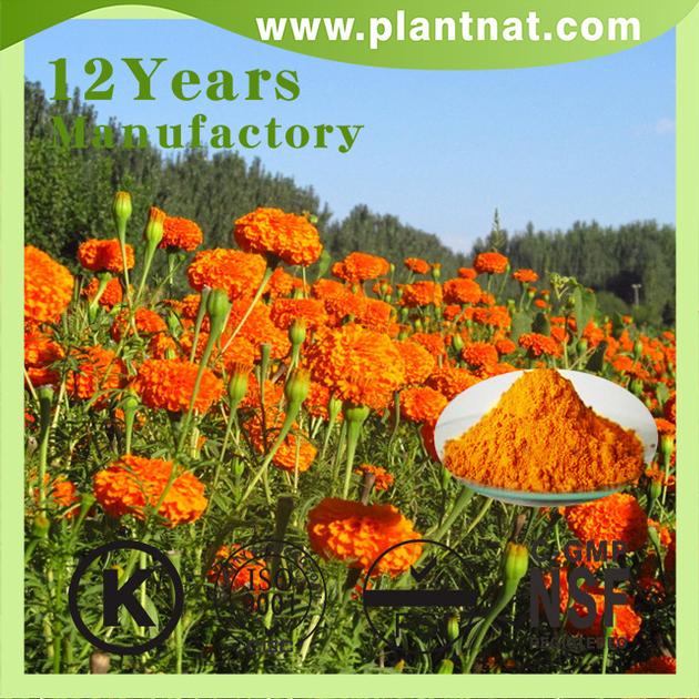 high quality lutein, marigold flower extract