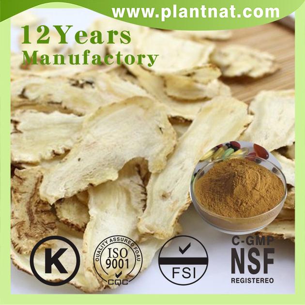 Angelica Extract Ligustilide 1%
