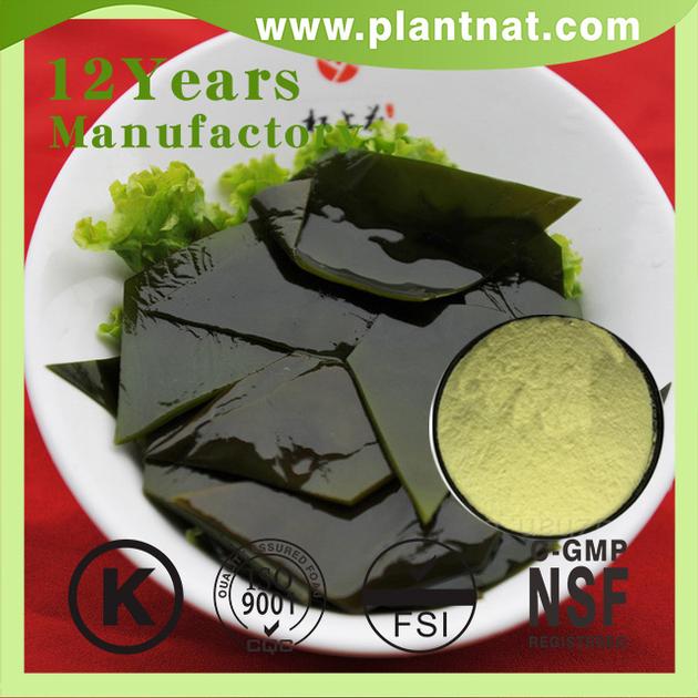 kelp extract Fucoxanthin