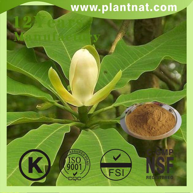 Magnolia Bark Extract,cin Magnolia Bark Extract