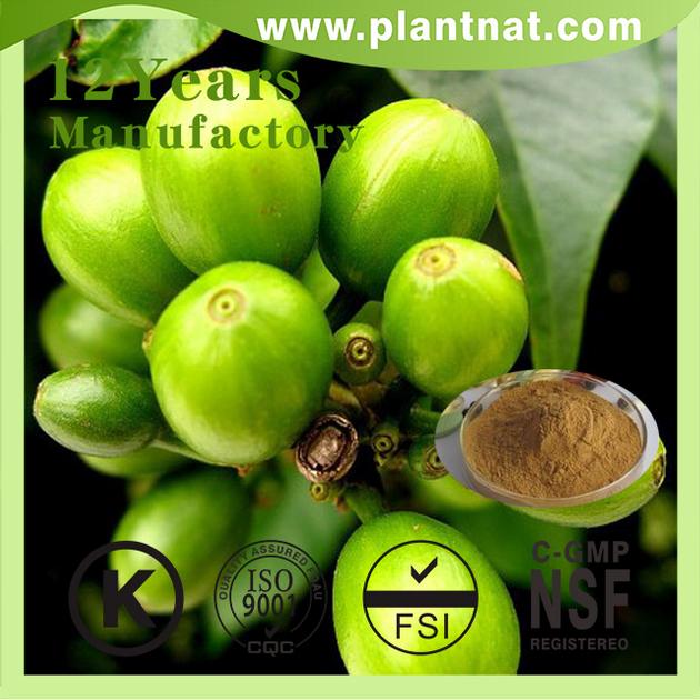 Green Coffee Bean Extract Chlorogenic Acid