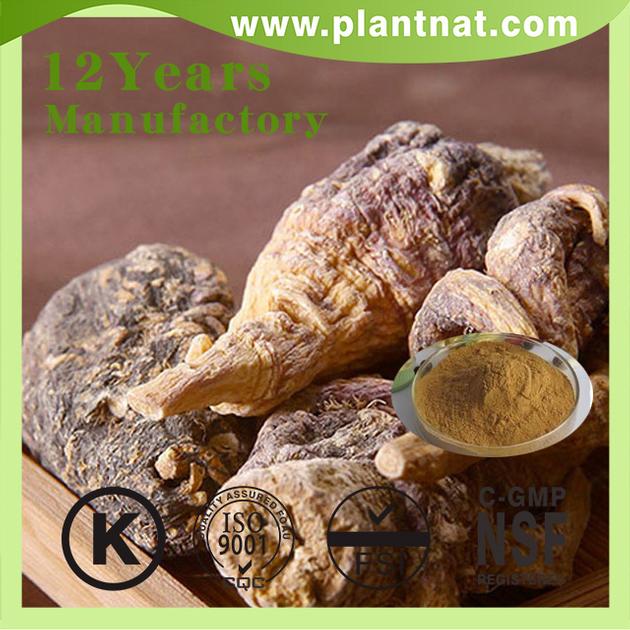 Maca Extract Anti Fatigue Maca Root
