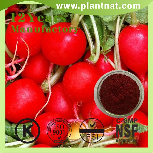 Red Beet Powder Halal Red Beet