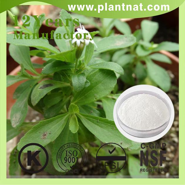 Stevia Extract 100 Natural Sweetener Stevia