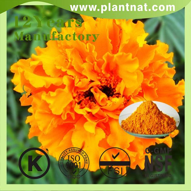 High Quality Lutein Marigold Flower Extract