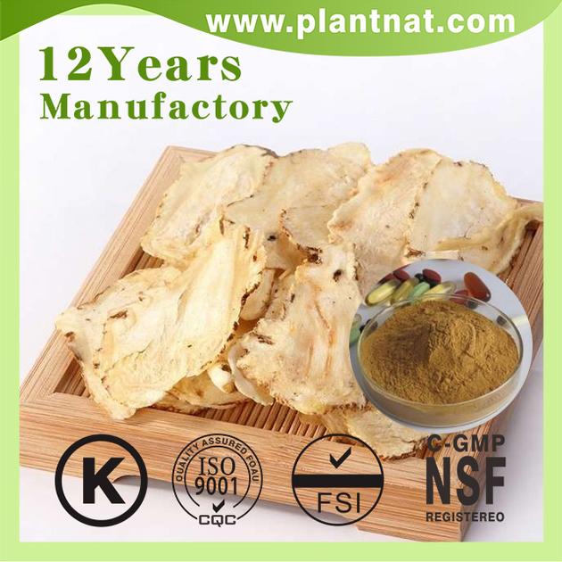 Angelica Extract Ligustilide 1