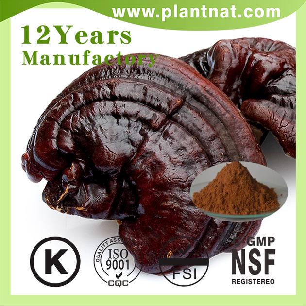 Ganoderma Lucidum Extract