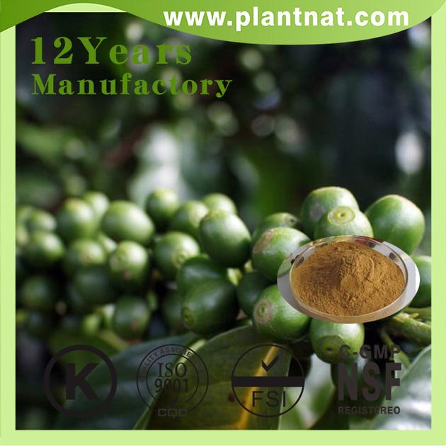 Green Coffee Bean Extract Chlorogenic Acid