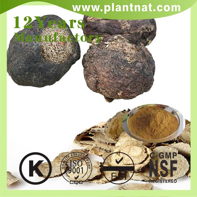 Maca Extract Anti Fatigue Maca Root
