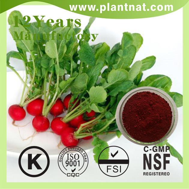 Red Beet Powder Halal Red Beet