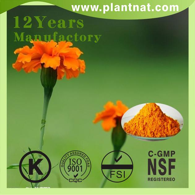 High Quality Lutein Marigold Flower Extract