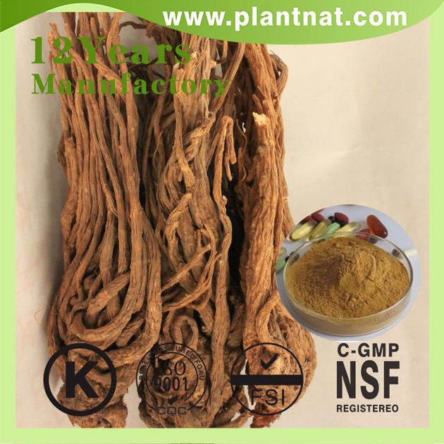 Angelica Extract Ligustilide 1