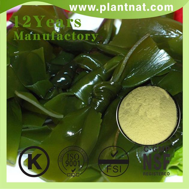 Kelp Extract Fucoxanthin