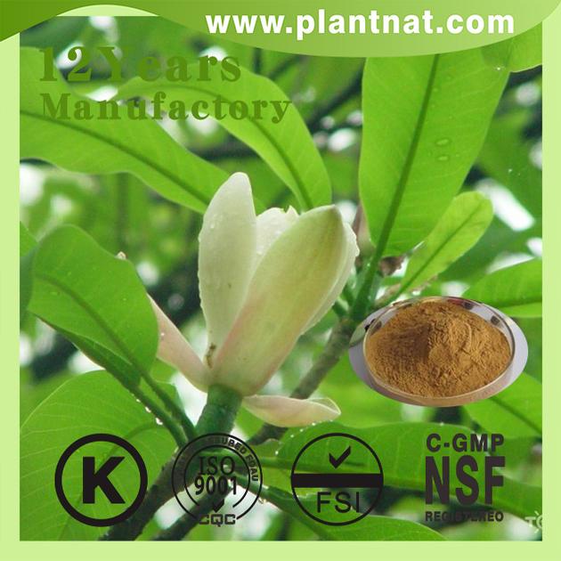 Magnolia Bark Extract Cin Magnolia Bark