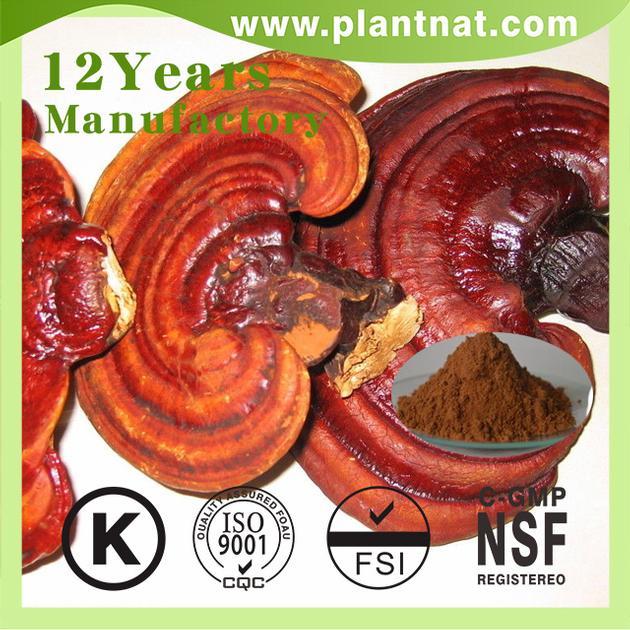Ganoderma Lucidum Extract