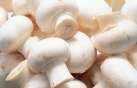 mushroom