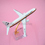 Metal Plane Model¡§B737-800¡¨