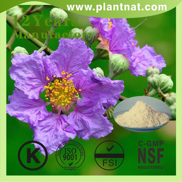 Banaba leaf PE