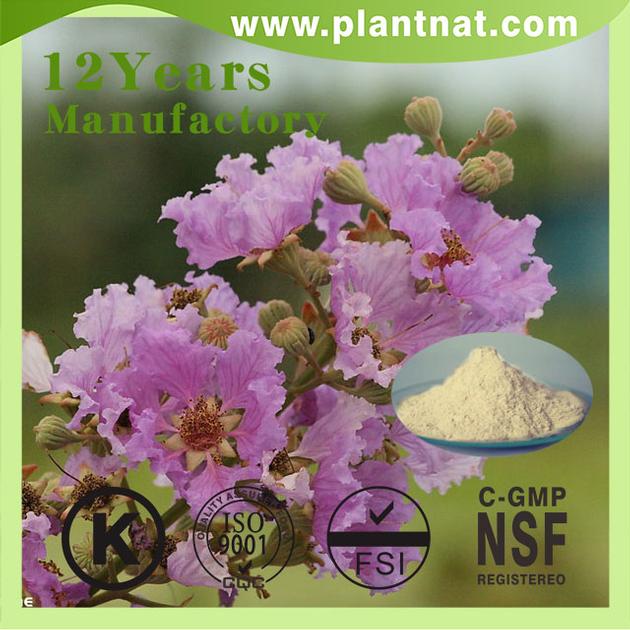 Banaba Leaf PE