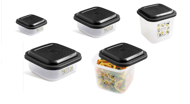 freezer / microwave container 
