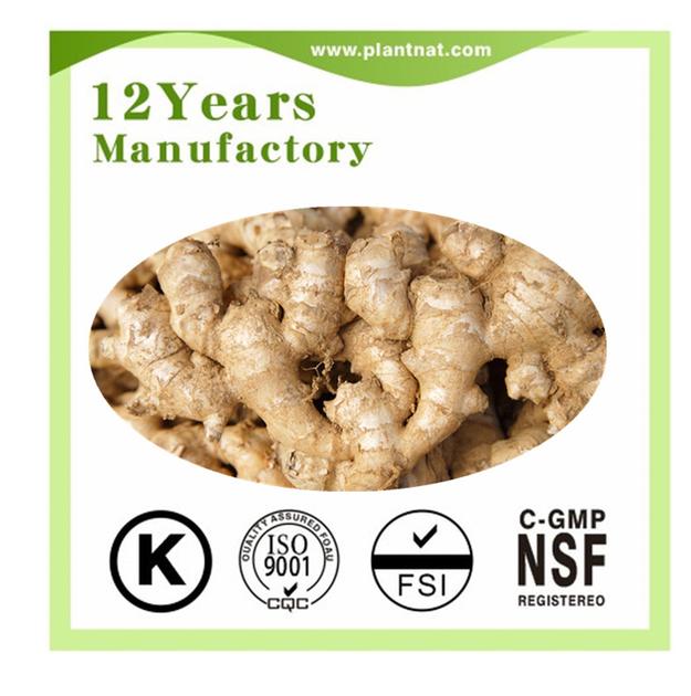 Gingerols 5% / Gingerols 10%Ginger Extract Herb Extract